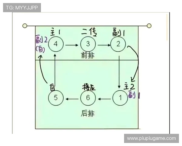排球新手必看:提升灵活性的全面入门指南与实用技巧分享